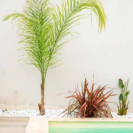Nouvelle Des Muriers Piscine Proche Montpellier Et Plages